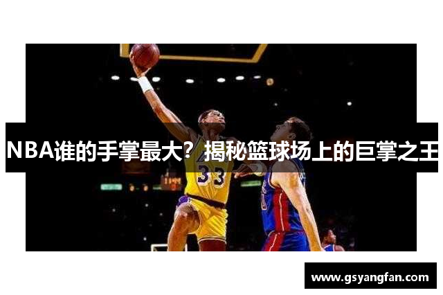 NBA谁的手掌最大？揭秘篮球场上的巨掌之王