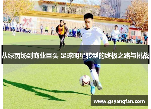 从绿茵场到商业巨头 足球明星转型的终极之路与挑战