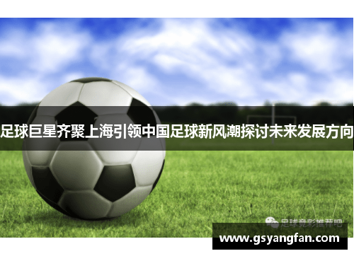 足球巨星齐聚上海引领中国足球新风潮探讨未来发展方向